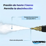 VaporPro Limpieza Rápida