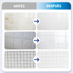 Spray AntiMoho Profesional - MOLD
