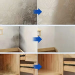 Spray AntiMoho Profesional - MOLD